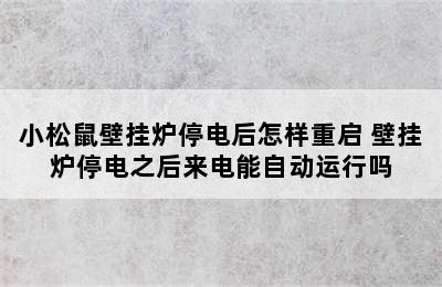 小松鼠壁挂炉停电后怎样重启 壁挂炉停电之后来电能自动运行吗